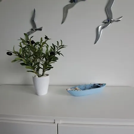 Dom Nad Morzem, Basen, Plaza, Silownia, Plac Zabaw, Kort Tenisowy